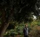 Trevor Pitkin in the north-west corner of Melbourne University's 160-year-old system garden, which is set to make way ...