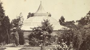 Science garden, University of Melbourne, circa 1870. Supplied