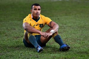 Self inflicted: Will Genia sits dejected after the Wallabies' narrow loss to Ireland.