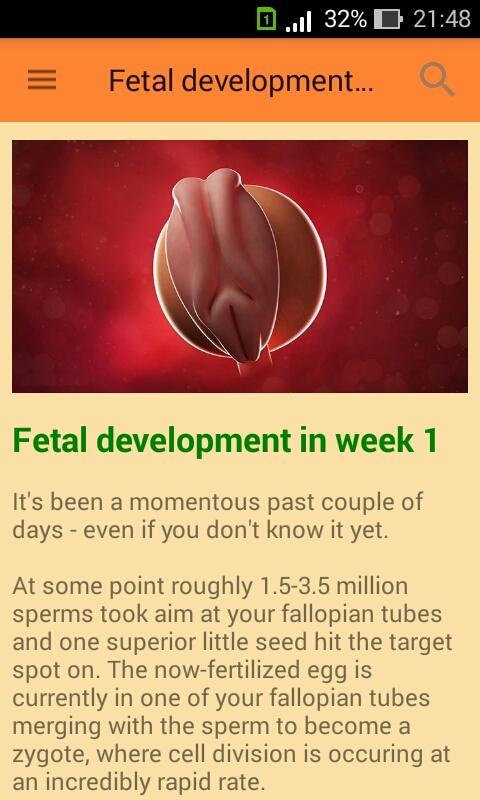    Pregnancy week by week- screenshot  