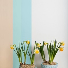 Mix & Match Planter Pots - Indoor Pots And Planters