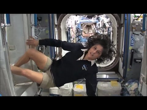 International Space Station: Live Inside Space Station Viewing Sunita William Space Journey Tour