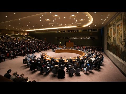 UN Security Council holds urgent meeting on Syria (streamed live)