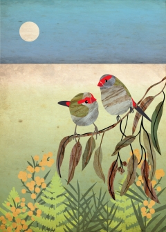 Finch Couple