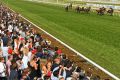 Big crowds: Total wagering was up 5 per cent for Melbourne's spring carnival. 