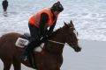 Horses on Lady Bay beach. Pictured - Strapper Maddie Raymond gets Caulfield Cup hopeful Real Love upto a canter, as ...