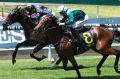 26112016. Sydney Races. Jockey Kerrin McEvoy rides Serena Bay to win race 2, during Sydney Racing at Rosehill Gardens ...