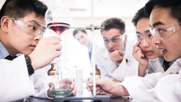 Some of the year 11 boys at Sydney Grammar School who have made an anti-malarial drug for $2 a dose.