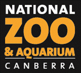 zoologo