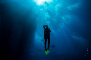 Divers ascending from the deep on Flynn Reef off the coast of Cairns. 