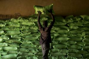 A worker stacks sacks of processed rice at a Compagnie Agricole de Saint-Louis du Senegal (CASL) warehouse, in ...