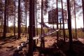 The Mirror Cube at Treehotel in Harads, Sweden.