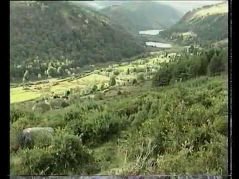 Glendalough - A Place Apart