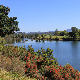 Rocks Ferry Reserve Wauchope