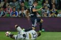 Close attention: Victory's Marco Rojas' attempt on goal is blocked by Glory goalkeeper Liam Reddy.