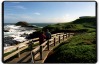 Phillip Island, Victoria. Enjoy this island's many delights – from the southern surf beaches and northern bay beaches, ...