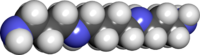 Spacefill model of spermine