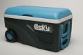 Esky