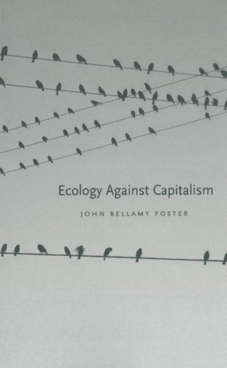 Ecology against Capitalism