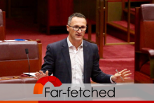 Fact Check: Would a vote among under 30s possibly deliver a Greens PM?