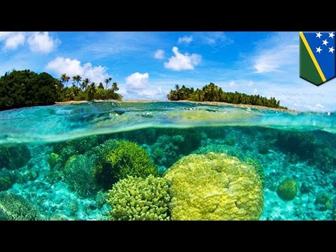 Global sea level rise: climate change already submerged 5 islands in Solomon archipelago - TomoNews