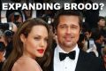 Angelina Jolie and husband Brad Pitt are a couple experiencing "the change".