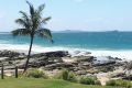 Mooloolaba, Sunshine Coast, Queensland. Summer, palm trees, coast, 2016. Pic: Wendy Hughes