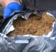 A recent raid on an alleged illegal tobacco importer by Border Force officers