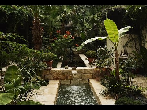 Spanish courtyard garden San Antonio |Claire Golden |Central Texas Gardener