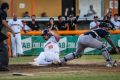 Australian Baseball League: Canberra Cavalry v Adelaide Bite. Aaron Sloan slides into home base. Photo Elesa Kurtz