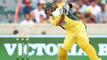 Australia's Glenn Maxwell in the fourth ODI between Australia and India in Canberra in January 2016.