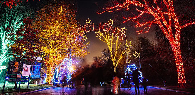 Zoolights | National Zoo