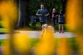 Pollen was flying around Melbourne again on Sunday.