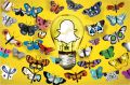 Snap started with a new idea but it has since branched out. 