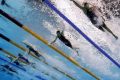 Close swim: The women's 50m freestyle semi-final in Rio.