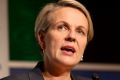 Labor's Tanya Plibersek says it was the right decision for the Gillard government to promise that no school would be ...