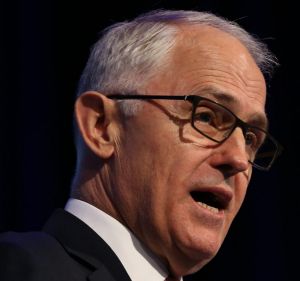 Prime Minister Malcolm Turnbull speaking at the NSW Liberal Party State Council meeting in October.