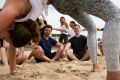 Lululemon's Kyle Housman and Ben Jackson on Bondi Beach, where the label will launch its first concept store outside of ...