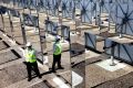 The solar thermal research hub at Steel River, Newcastle. 