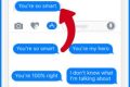 Phoneys are little blue stickers with phrases that you place in your conversation, and on your contact's phone it will ...