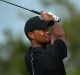 Tiger Woods in action in the Bahamas... the golfing great is no stranger to Australian shores.