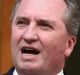 Deputy prime minister Barnaby Joyce at Parliament House.