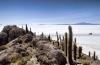 The salt flats seen from Fish Island.