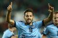 Knock-out phase: Milos Ninkovic is relishing the chance to keep shocking Sydney FC's doubters. 