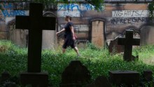 Woman walks through Camperdown Cemetery, Newtown