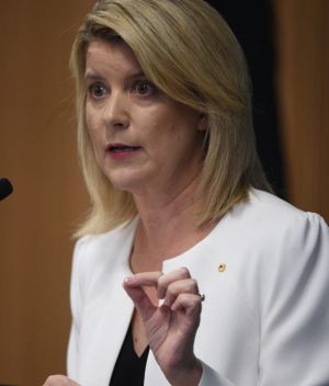 Natasha Stott-Despoja speaking at the Lowy institute as outgoing ambassador for women and girls. Photo Nick Moir 6 dec 2016