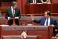 Senator Derryn Hinch and Chief Government Whip in the Senate David Bushby during debate on the Racial Discrimination Law ...