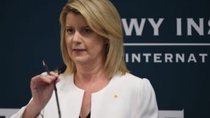 Natasha Stott-Despoja will step down in January as Australia's ambassador for women and girls.