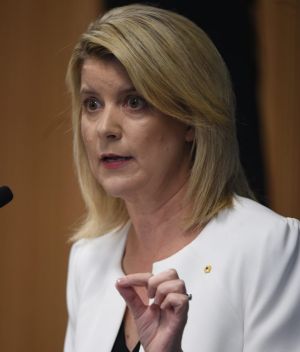 Natasha Stott-Despoja speaking at the Lowy institute as outgoing ambassador for women and girls. Photo Nick Moir 6 dec 2016