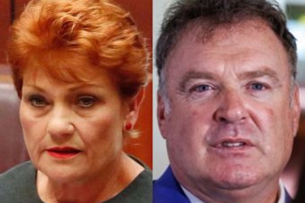 Senator Hanson revealed the relationship with Senator Culleton was close to breaking.